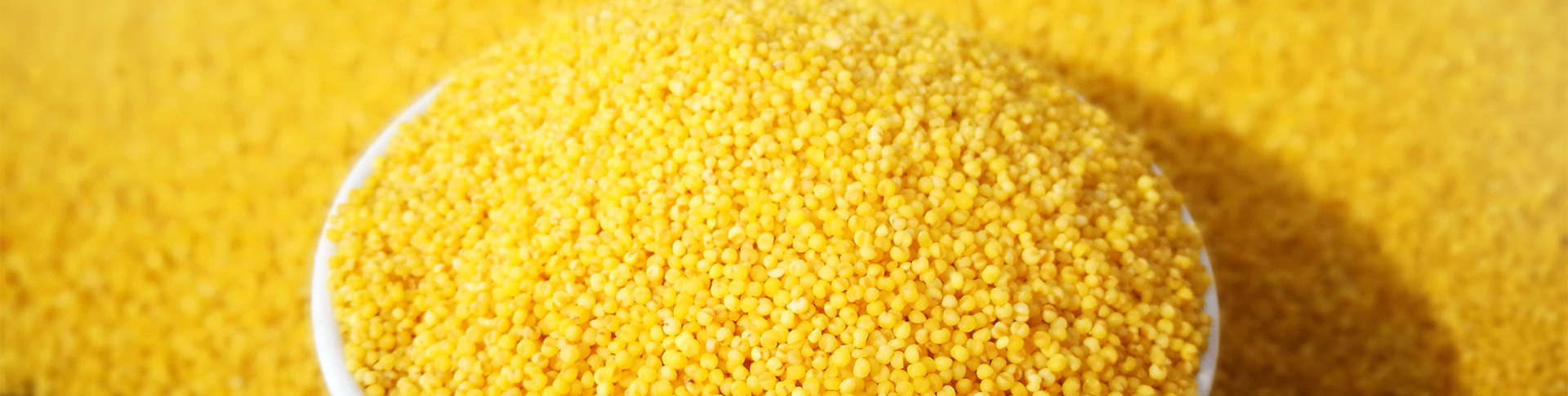 安陽(yáng)市億天米業(yè)有限公司