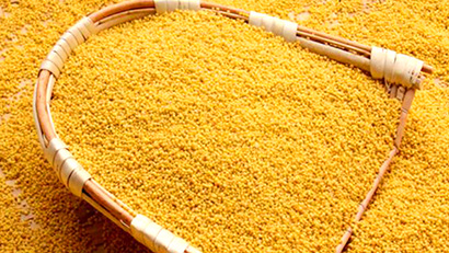 色澤金黃，干凈無雜質